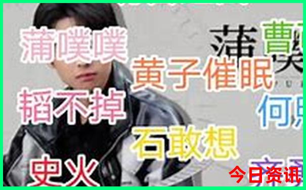 花鸟图片大全大图