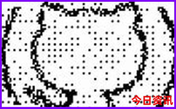2024今天澳门买什么好