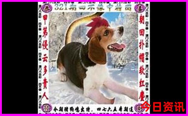 广东省内游3天去哪里