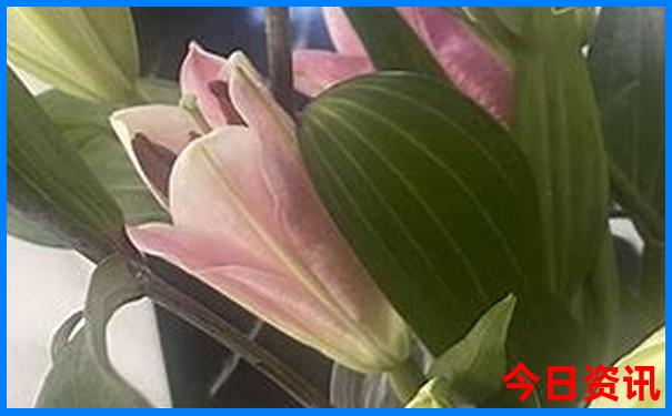 三里屯有什么好玩的地方
