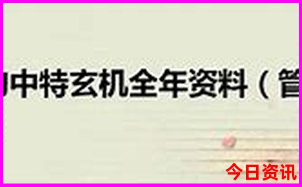 赵政个人资料简介