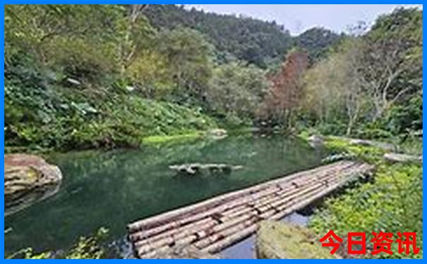 夏天去哪些地方旅游比较好